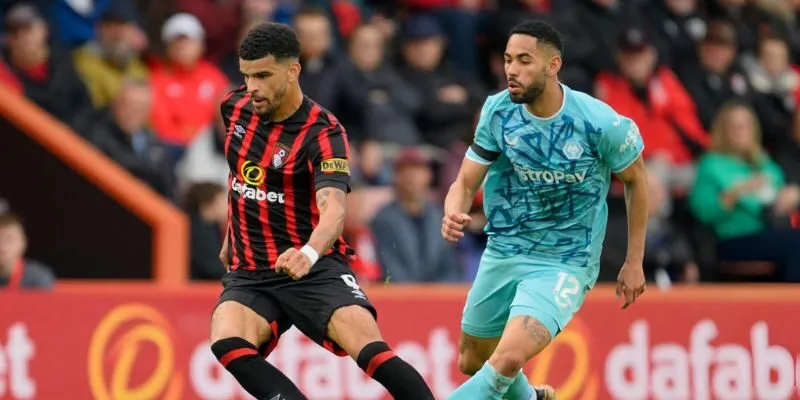 Tình hình của Bầy Sói Wolves