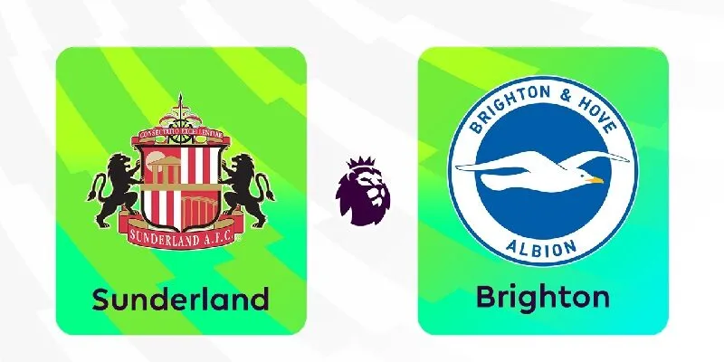 Nhận định trận đấu Brighton & Hove Albion và Sunderland 22h00 ngày 20/12/2025 