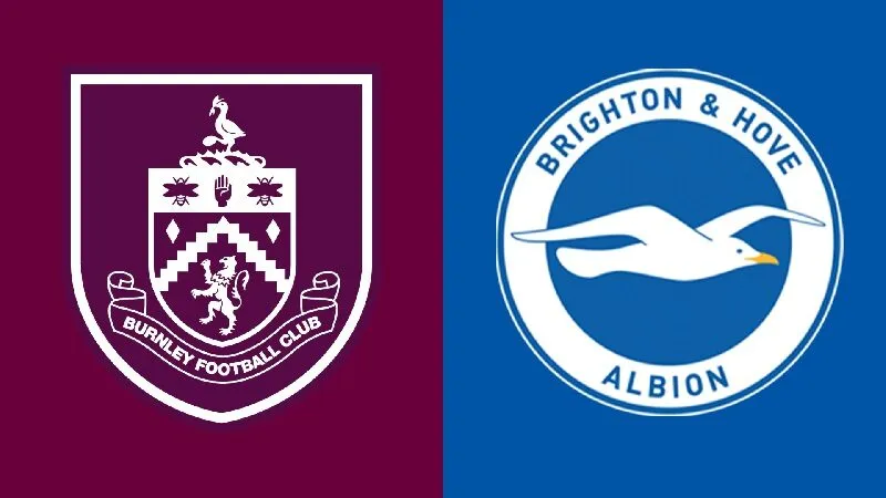 Brighton và Burnley